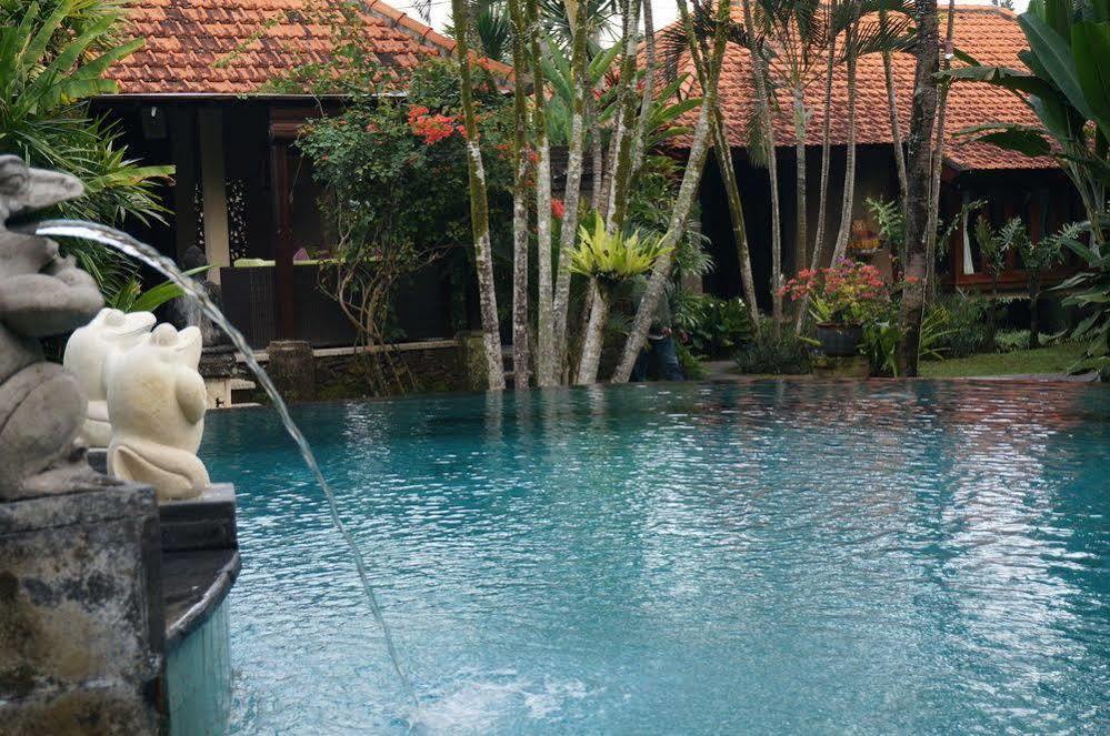 Guest house Sonia 4*